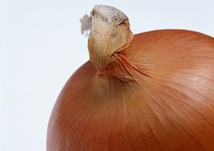 錦で夜の仕事を始める際に便利な派遣会社